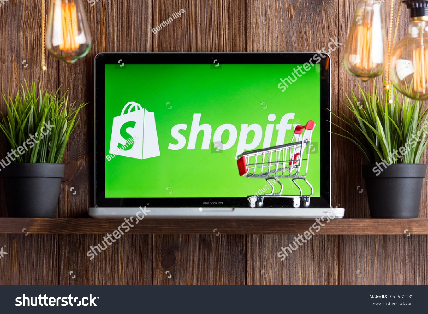 Shopify ecommerce Shopping Website Design and Development in India Website Design Service By two dice web design