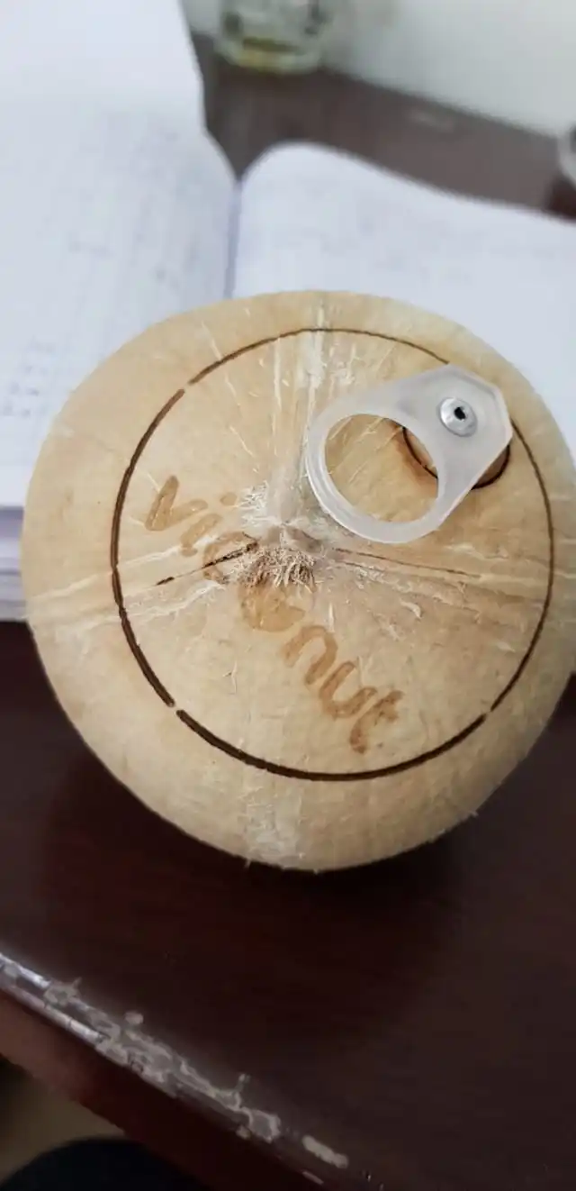 Super Sweet 100% Natural Cheap Price  Coconut With Open Tool High Quality Tasty Hot Selling From Vietnam 2024