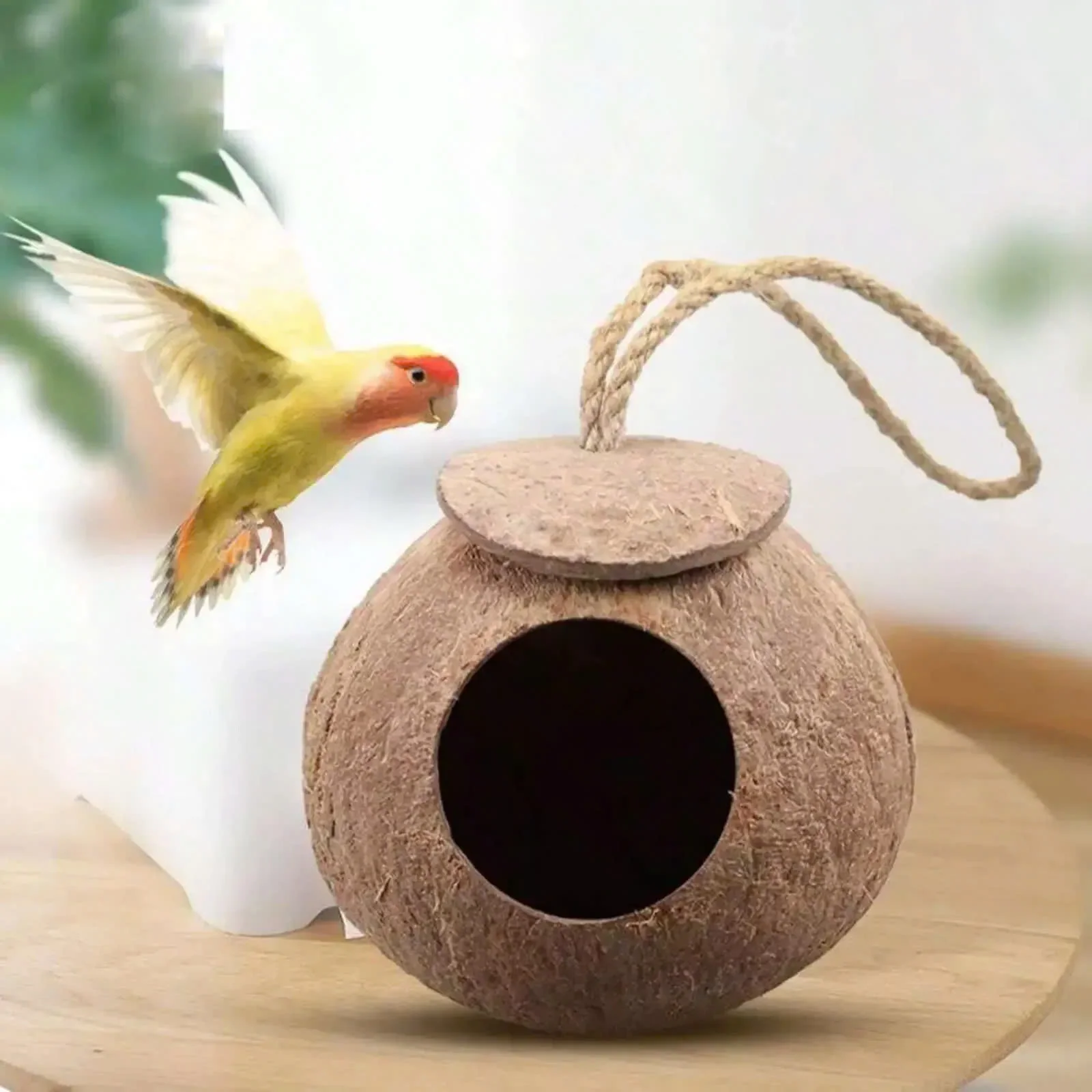 Durable and Natural Coconut Shell Bird Nest Coconut Birdhouse Cage Bird House Supplies Handmade From Vietnam