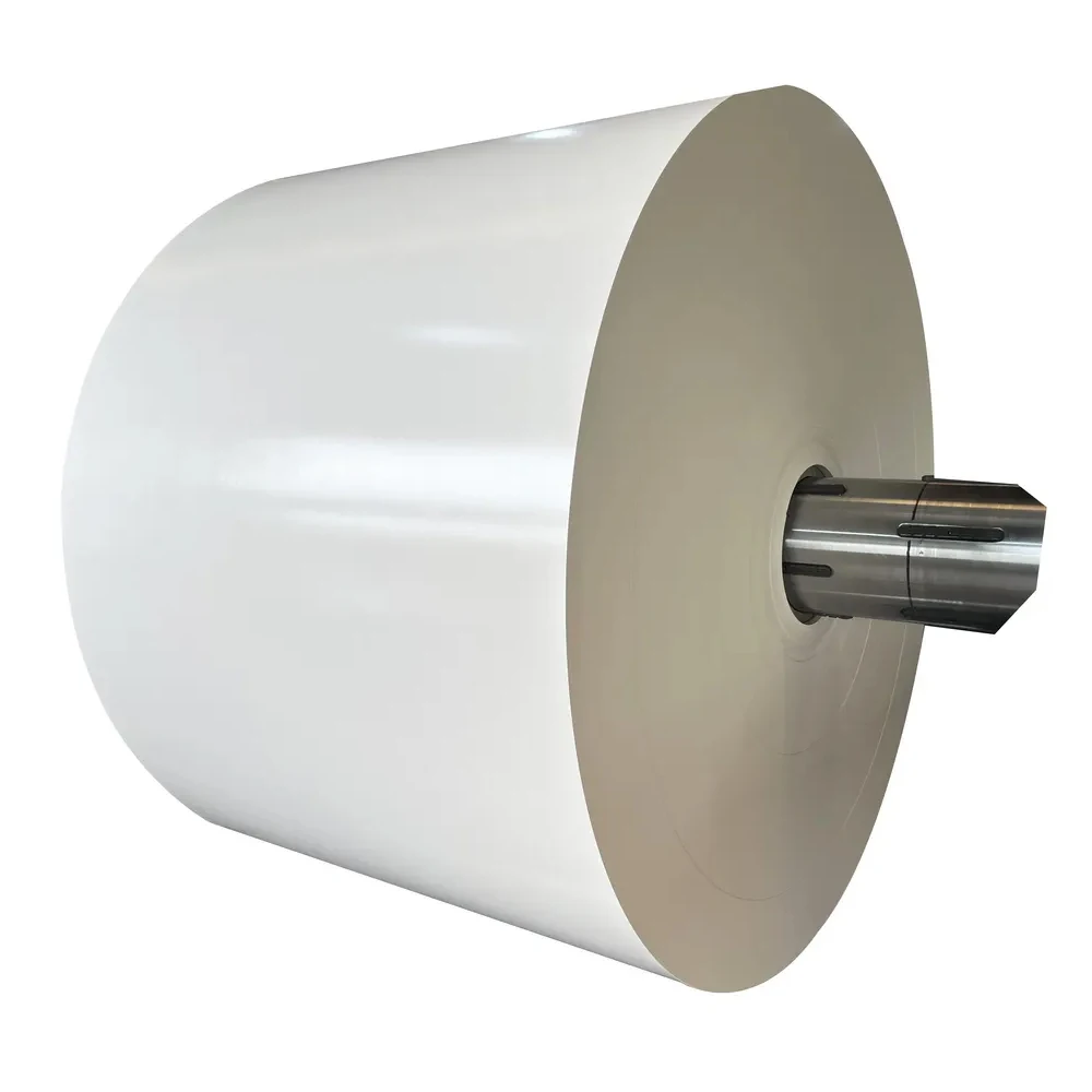 High Quality 150gsm-320 GSM White PE Paper Cup Roll Cup Paper Roll Grease Proof Waterproof Single Double Side