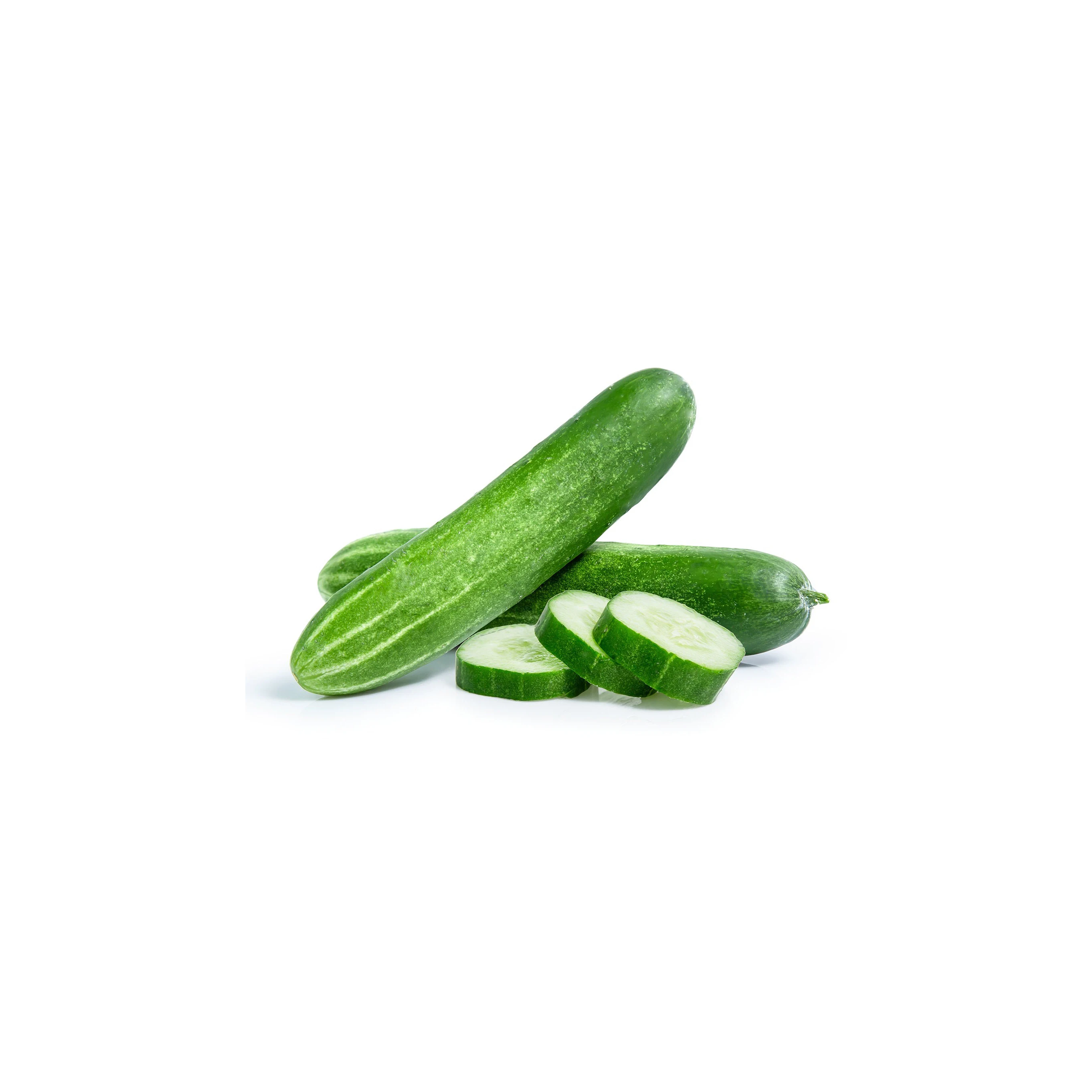 Premium Fresh Cucumber - Best Price High Quality Vegetable Available in