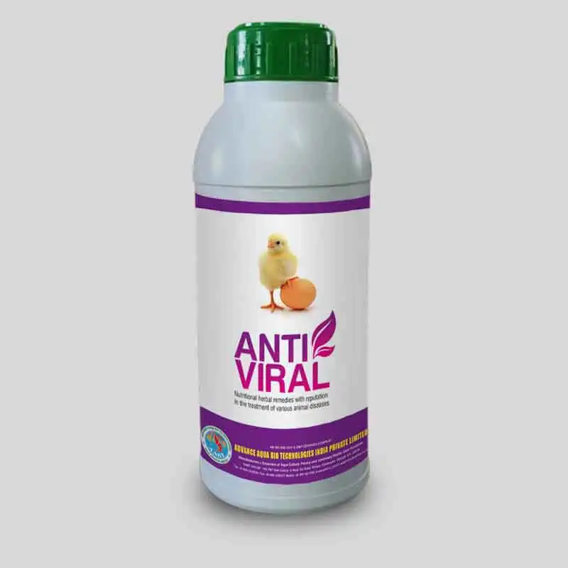 ANTI VIRAL  effectively treats viral diseases like cold, influenza, new castle disease (ND), and bronchitis in animals.