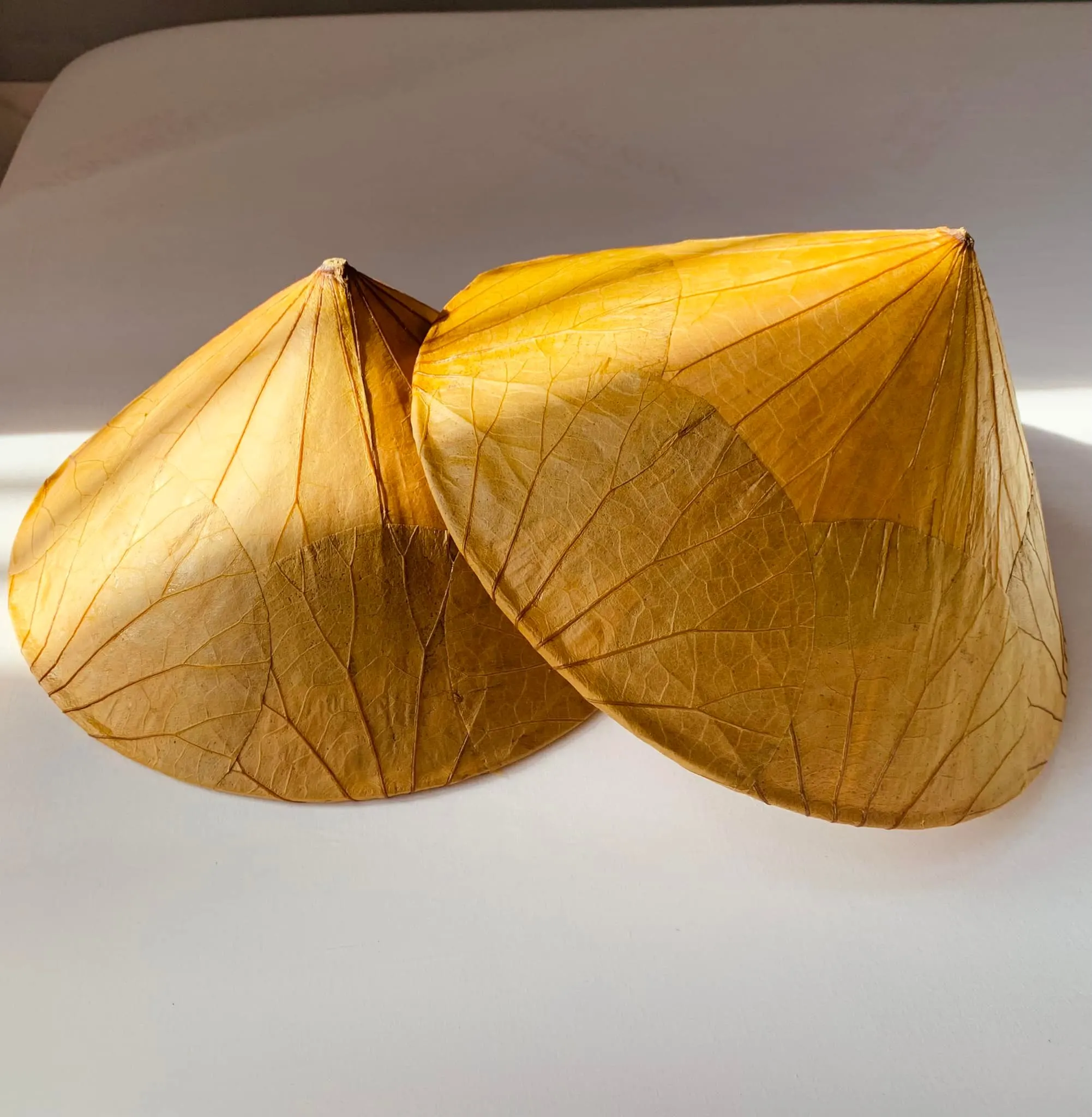 Lotus Conical Hat From Vietnam For Travel Event and Decoration / Vietnamese Traditional Lotus Leaf Hats