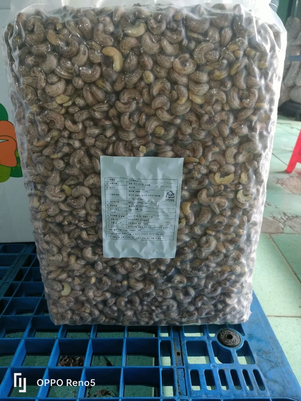High Quality Roasted cashew nuts with sea salt A240 Roasted Cashew Nuts Various types of cashew nuts wholesale