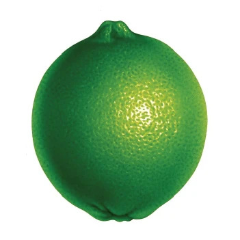 CHEAP Price HIGH QUALITY FRESH SEEDLESS 2023 / Fresh Seedless Lime Vietnam / Wholesale GREEN LEMON