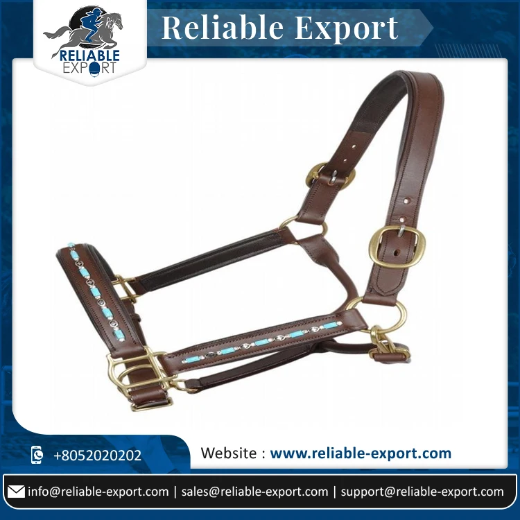 Beaded Leather Padded Show Horse Manufacturer Turquoise Halter Havana from Indian Premium Quality Handmade Brown Colour IN;34648