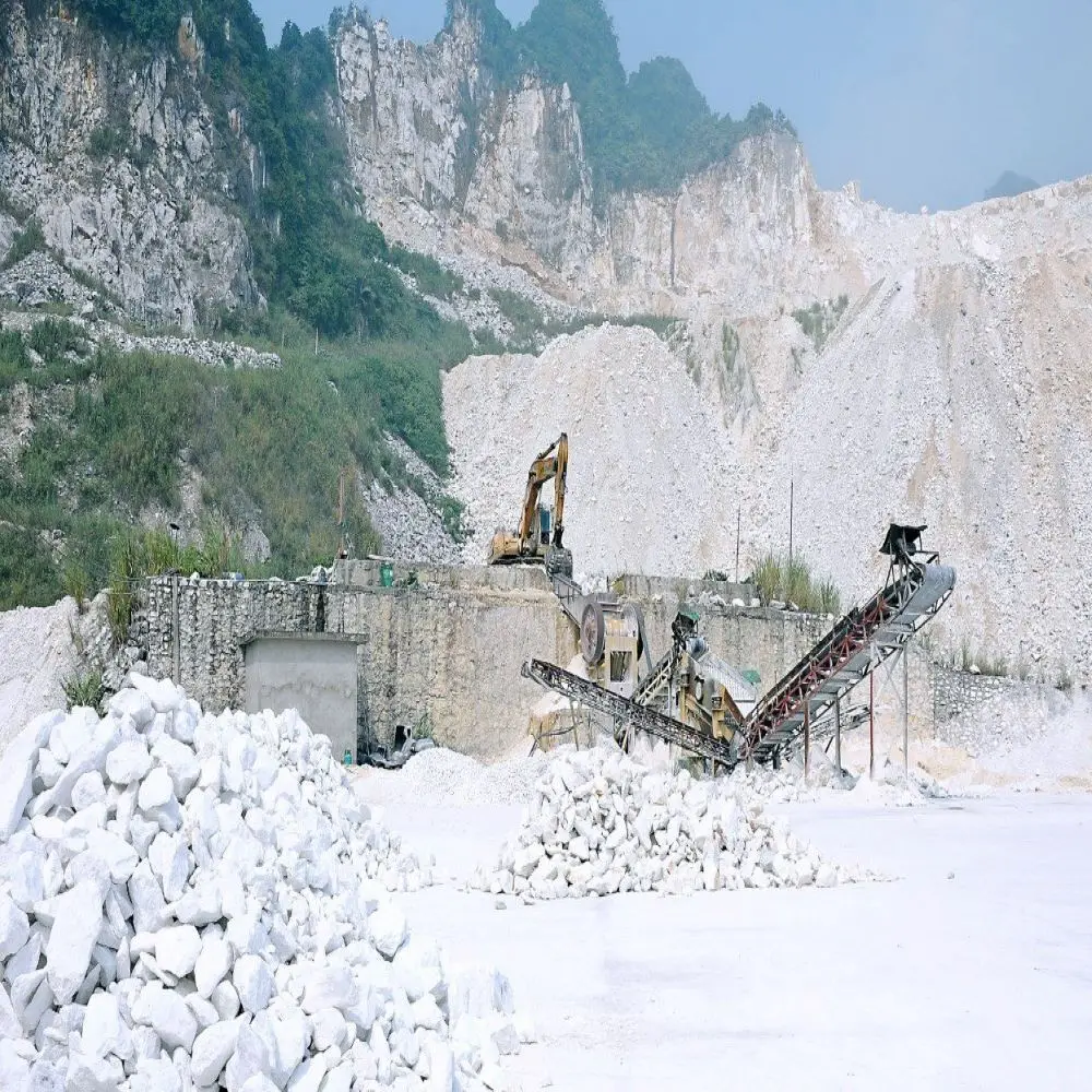 White Limestone Pavers Fast Delivery Calcium Carbonate Industry Natural Bulk Vietnam Manufacturer