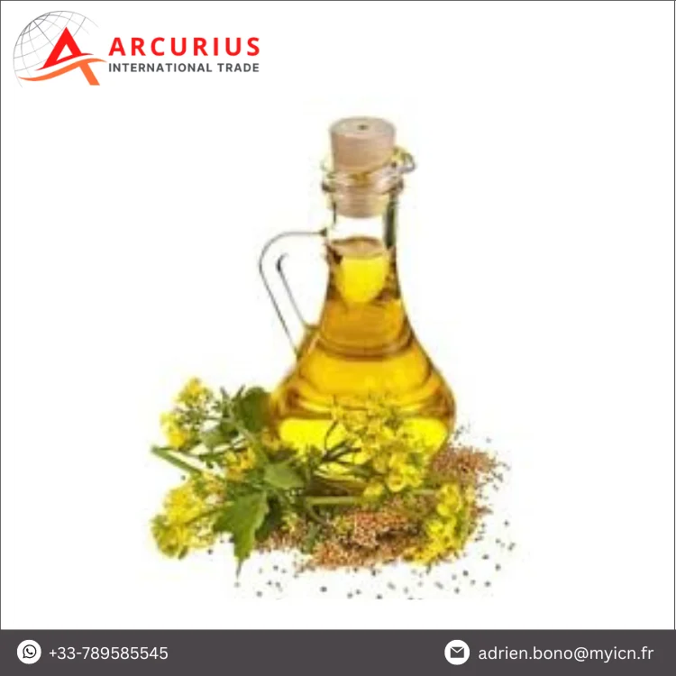 Professional Manufacturer of High Quality 100% Pure Refined Rapeseed Oil/Canola Oil with Best Price