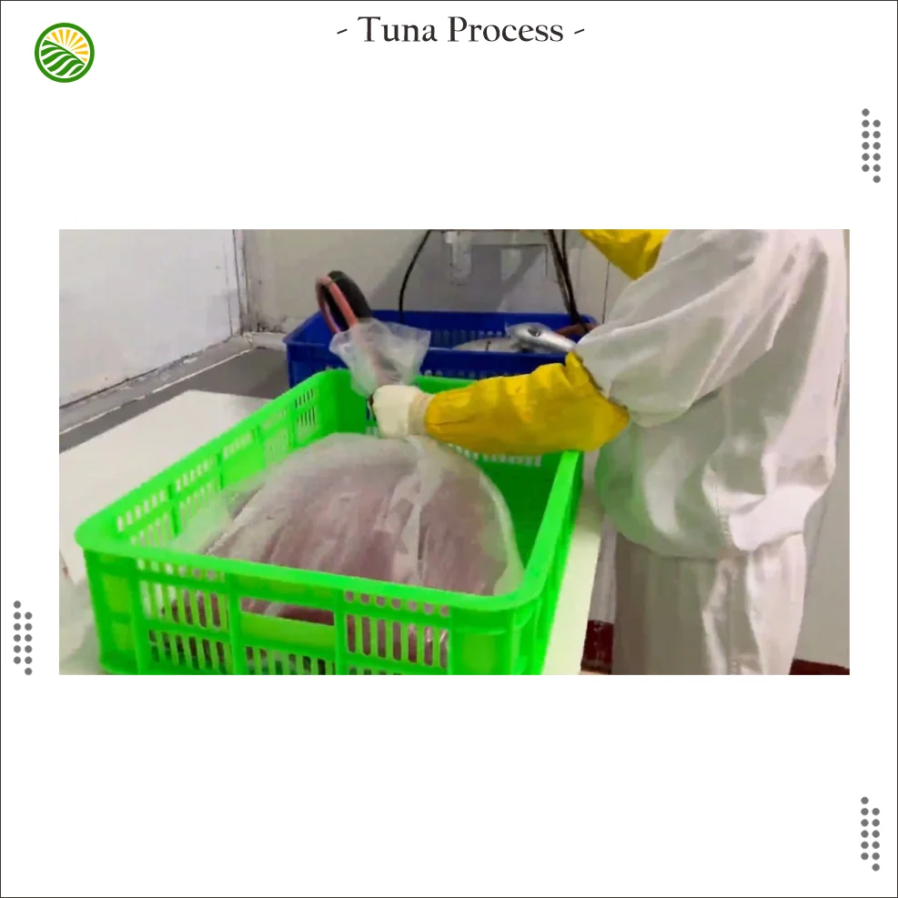 Frozen Tuna Ground Meat from Indonesia Export Quality  of  Yellow Fin Tuna