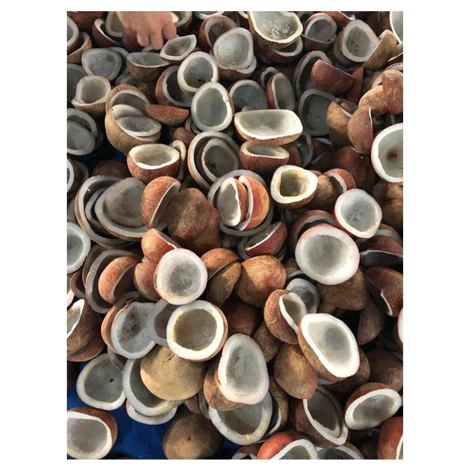 Bags White Tropical Style Packaging Mature Organic Pulp Color Pure Weight Brown Natural Origin Type Full Coconut Quality Variety