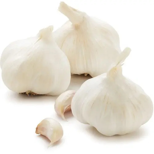 100% Organic High Quality Dried Garlic Fresh Style Peeled Solo Garlic for Food Use