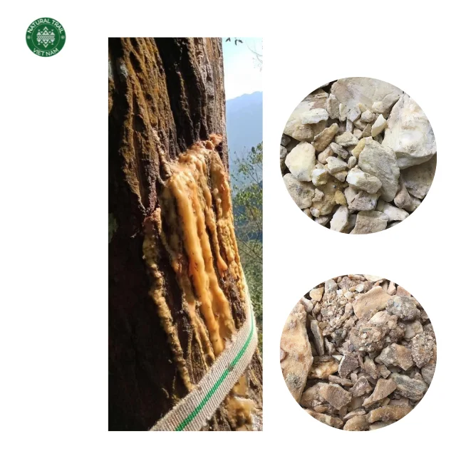 TOP QUALITY BENZOIN SIAM GUM/RESIN   Best Natural Raw Material For FRAGRANCES from Vietnam Factory