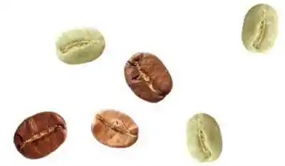 Dried Raw Cacao Fermented Cocoa Beans Cocoa Beans Ariba Cacao beans for sale