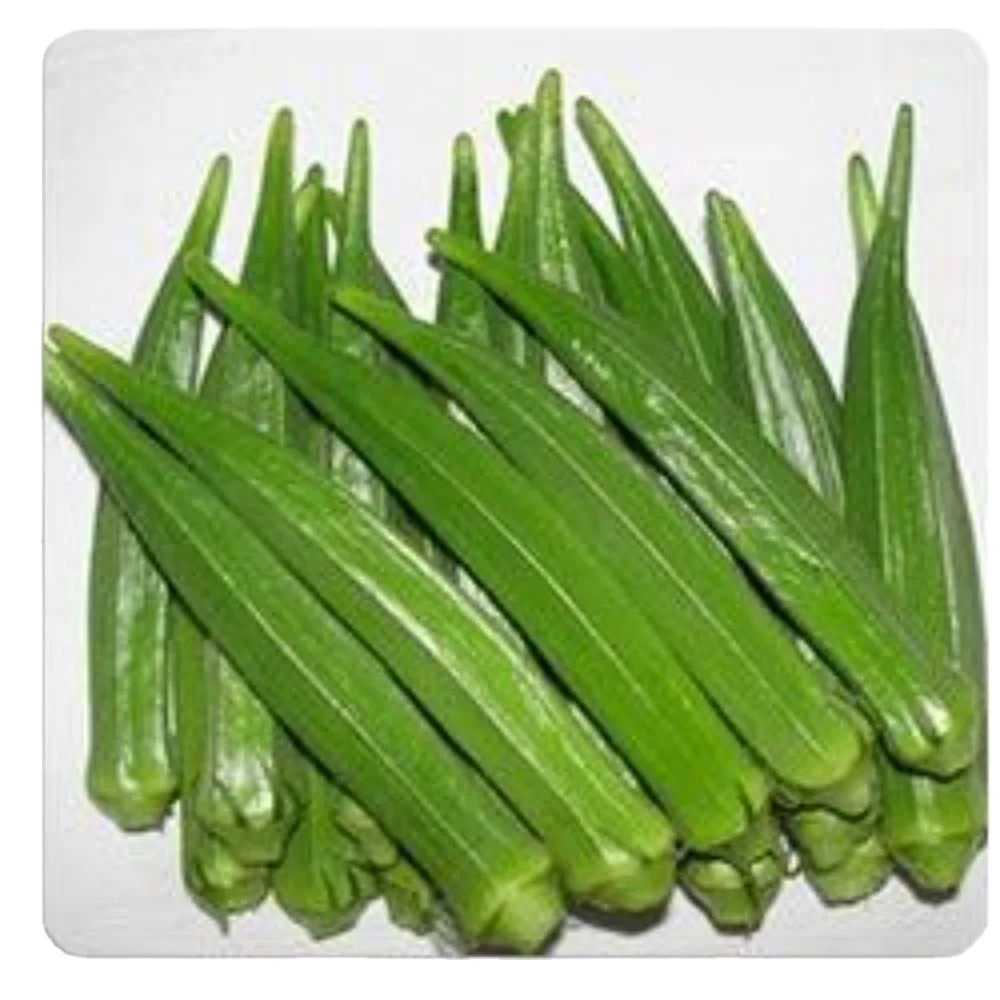 Лучшая онлайн цена со скидкой для Okra Clemson без спиннинга в жестяной/консервной