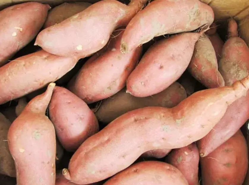 ЖЕЛТЫЙ СЛАДКИЙ КАРТОФЕЛЬ/замороженный сладкий картофель Вьетнам на