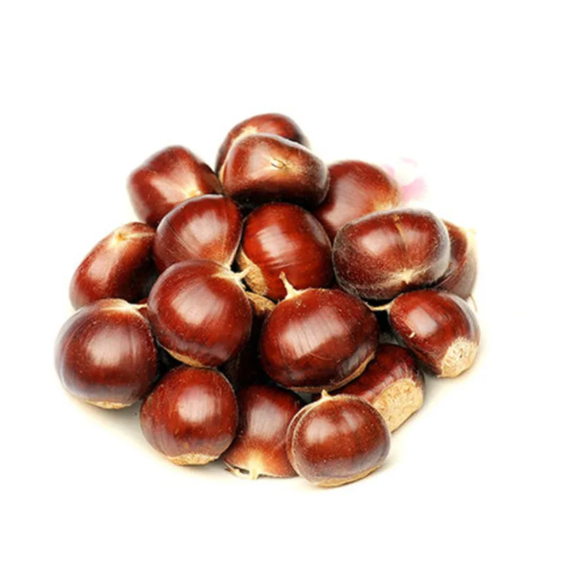 2023 new crop fresh chestnuts available at bulk price
