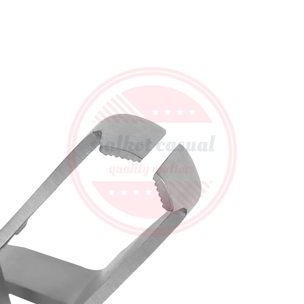 Curved Professional Stainless Steel Tip Tick Removal Tool for Pet/New Premium Quality Tick Remover Tweezers for Pet Care