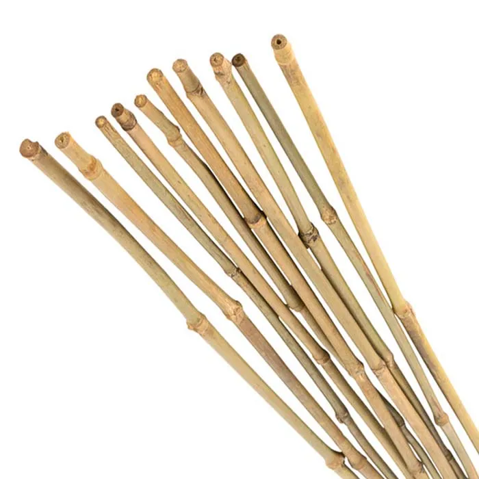 Wholesale Moso Natural Bamboo Poles for Outdoor Garden Support Stake/Branch/Pole Agriculture Use Whole Material Available Sale