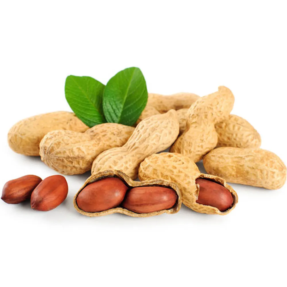 Light Weight Low MOQ Ground Nut OEM Service Ground Nut Solid Color Ground Nut