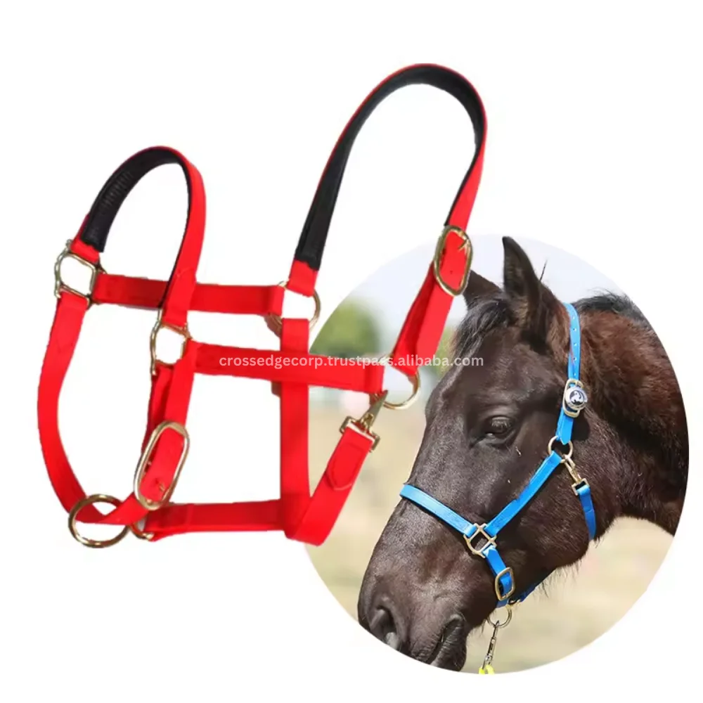 Wholesale Durable Equestrian Horse Saddle Western Australian Style with PVC One Nose Band Made from Nylon Material