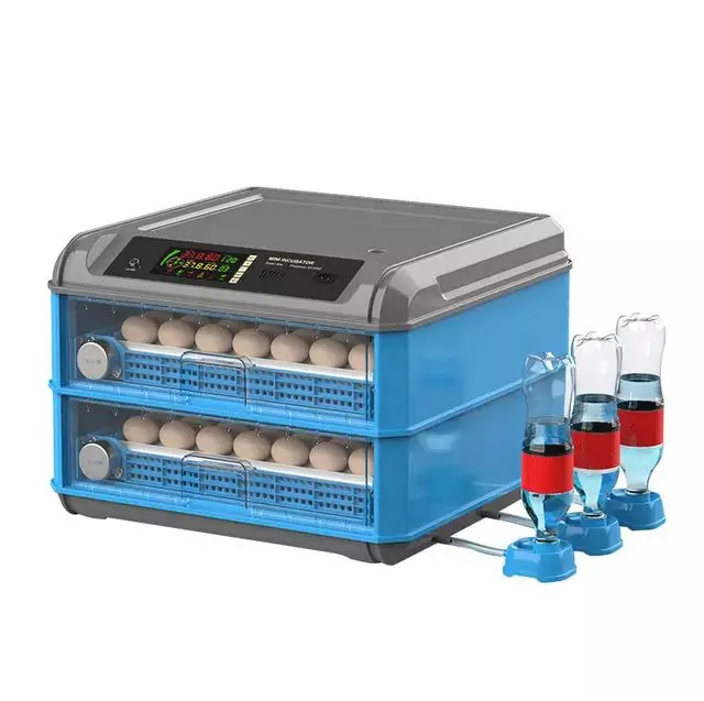 Hot Sale Chicken Eggs Ostrich Eggs, Chicken Eggs, Turkey Eggs Fresh Table Eggs Brown And White Farm F