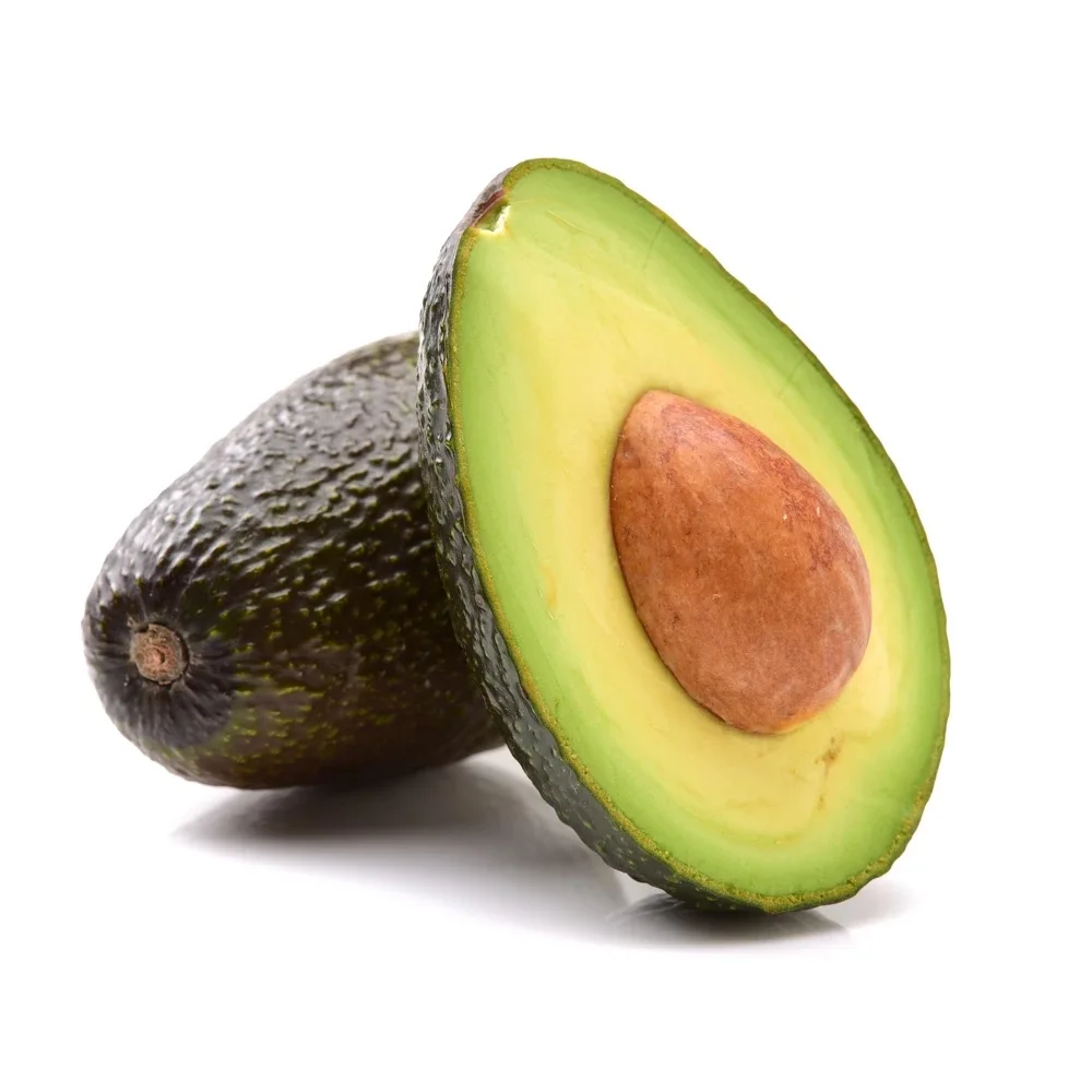 Cheap Fresh Avocado Made In Thailand and Vietnam For Export With The Best Price Standard High hass avocado
