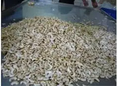 Food & beverage wholesale raw cashews Organic w320 snack bag cashew nuts w240 from Phalco Manufacturer