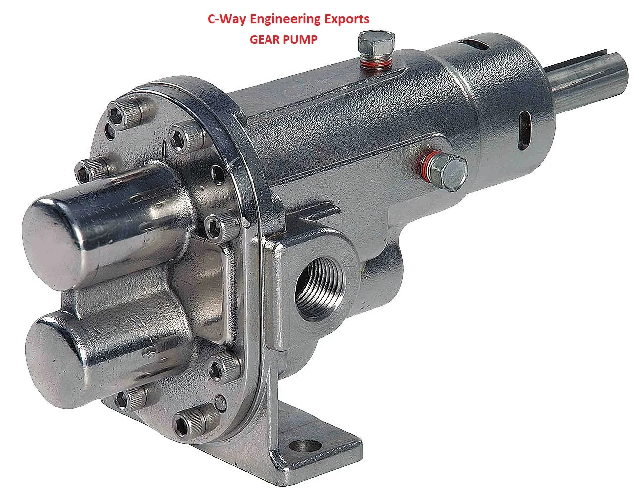 Maintenance Free Design 50 LPM Standard Heavy Duty lube oil fuel transfer Rotary Gear Pump