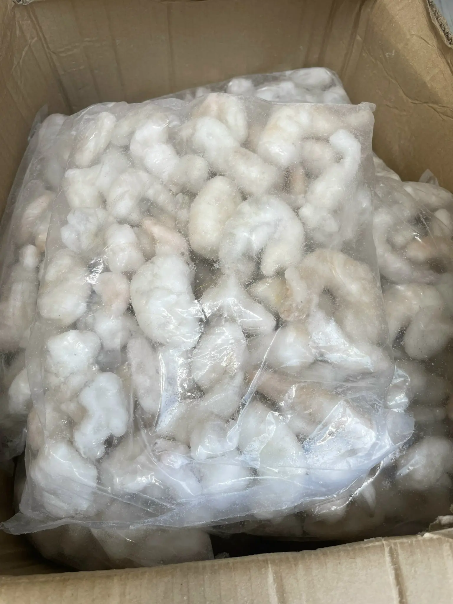BEST SALE - FROZEN SHRIMP - HIGH QUALITY PRODUCTS
