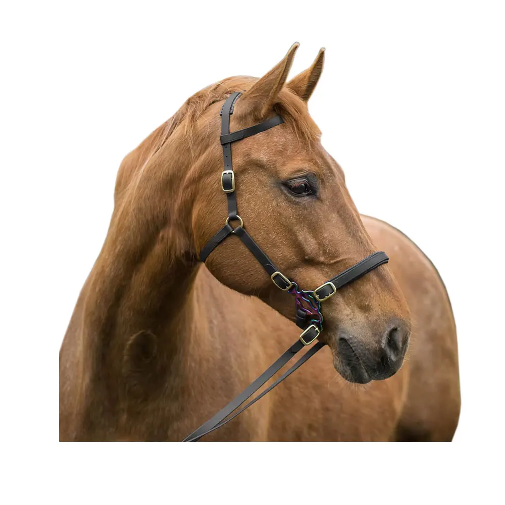 Новейший дизайн удобная модная декоративная анатомическая уздечка для лошадей по оптовой цене