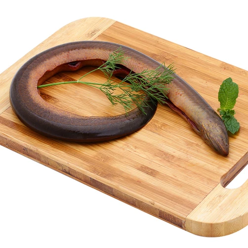 VIETNAM FROZEN SWAMP EELS - FARM RISSED -  MEKONG DELTA ORIGIN - BEST PRICE FOR SALE - HIGH QUALITY