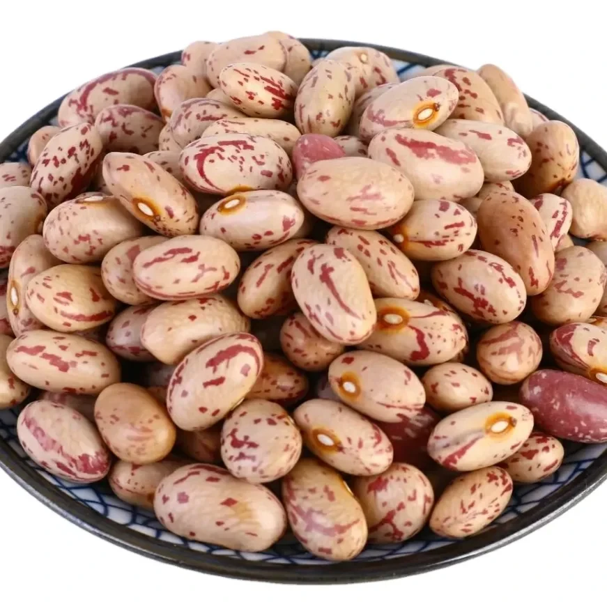 2024 Light Speckled Kidney beans sugar beans pinto beans for sale High quality long shape Quality Dark Red, Brown, Sugar Beans