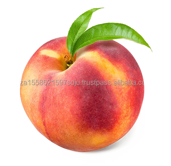 peach.png