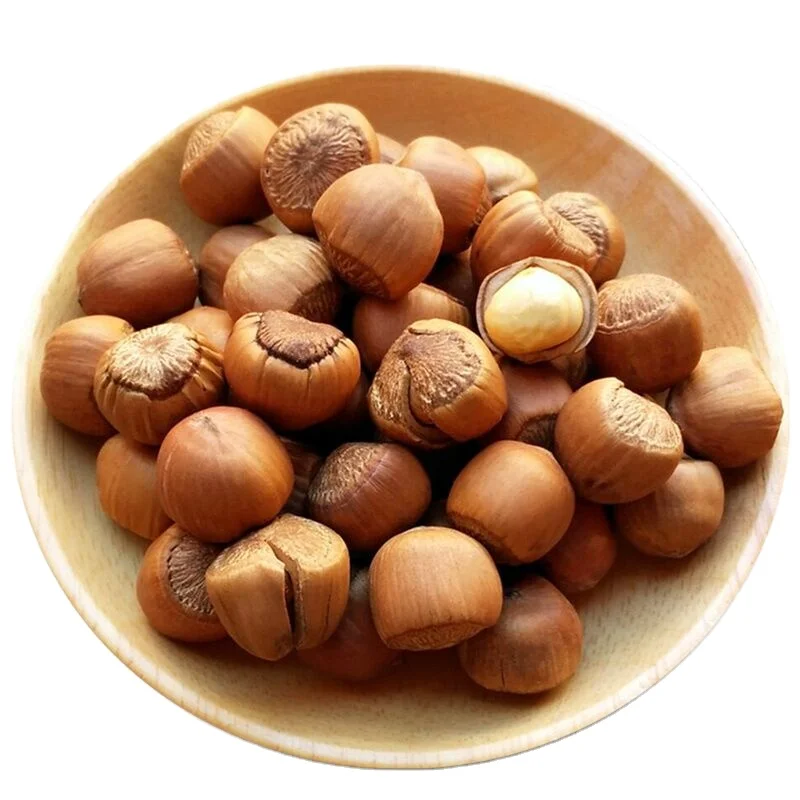 Raw Hazelnuts in Shell Raw Roasted Natural Style Packaging Food Natural Best Price Wholesale From USA