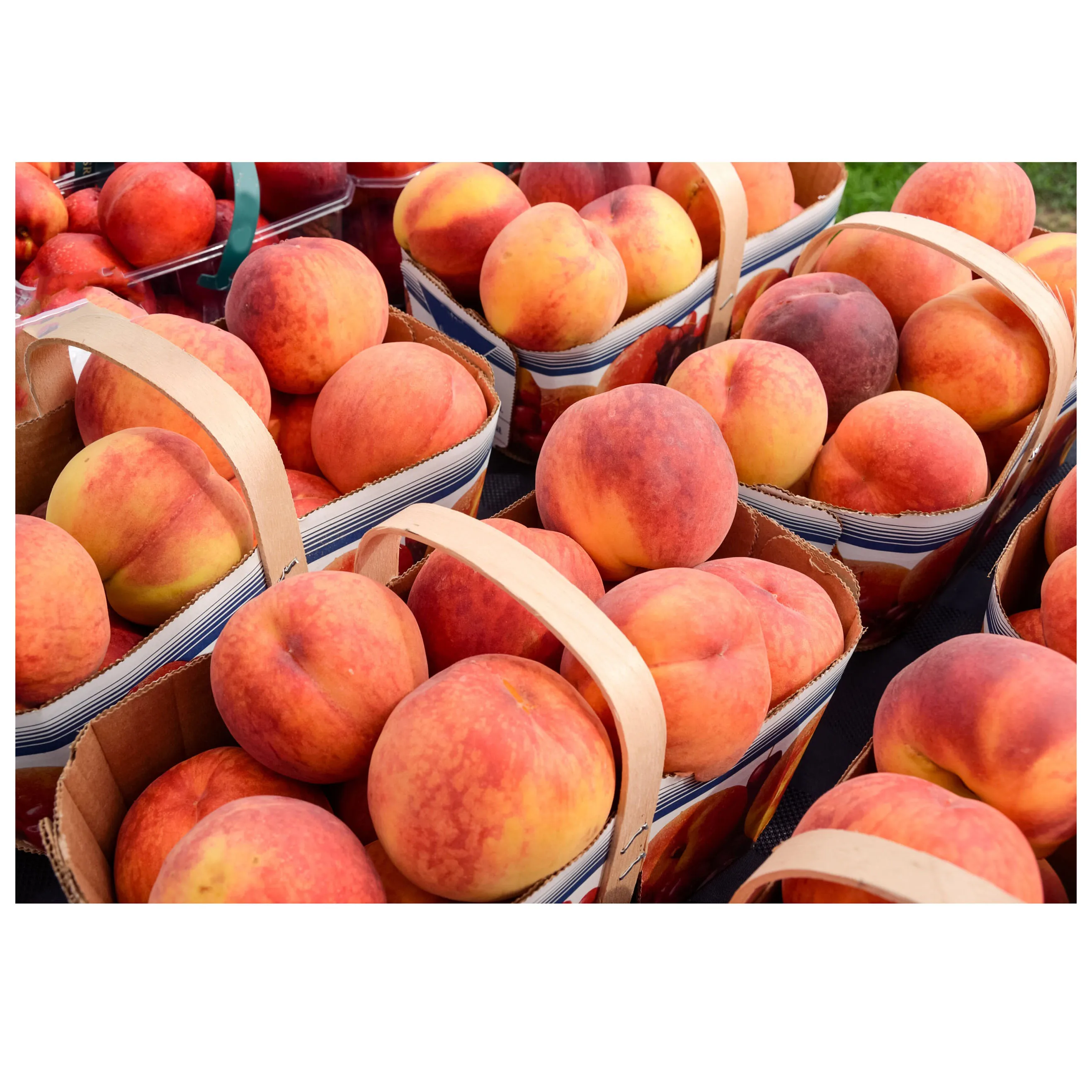 Crispy Healthy Food Snack Freeze Dried Honey Peaches Dried Fruity Peaches CHEAP PRICE Canned Yellow Peach in Halves IN BULK