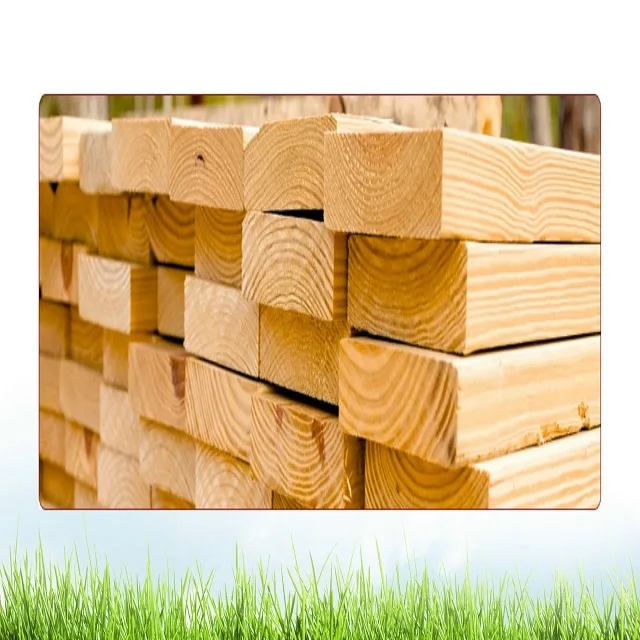 Paulownia, poplar, spruce, pine,cidar and fir wood species and 8%-12% Moisture content sawn timber