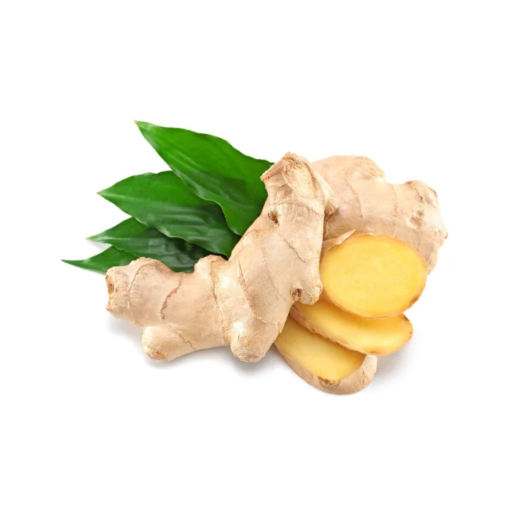 Wholesale fresh ginger / best price new crop fresh ginger for sale