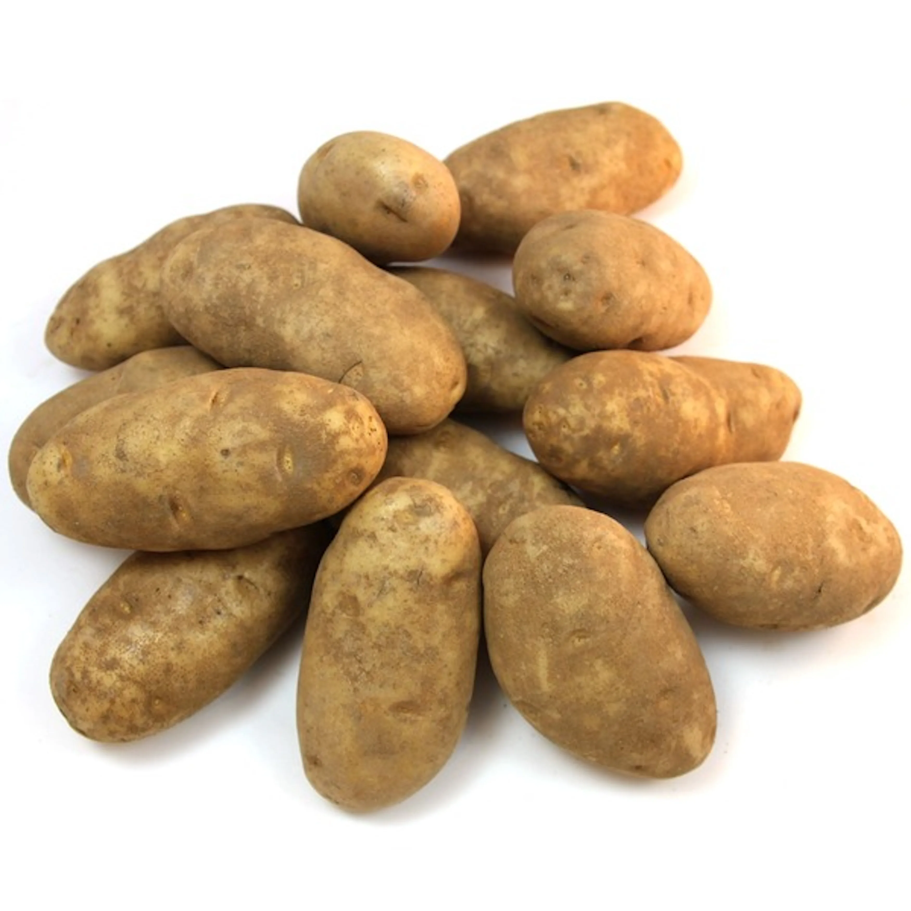 Organic Fresh Potatoes High Quality For Sales