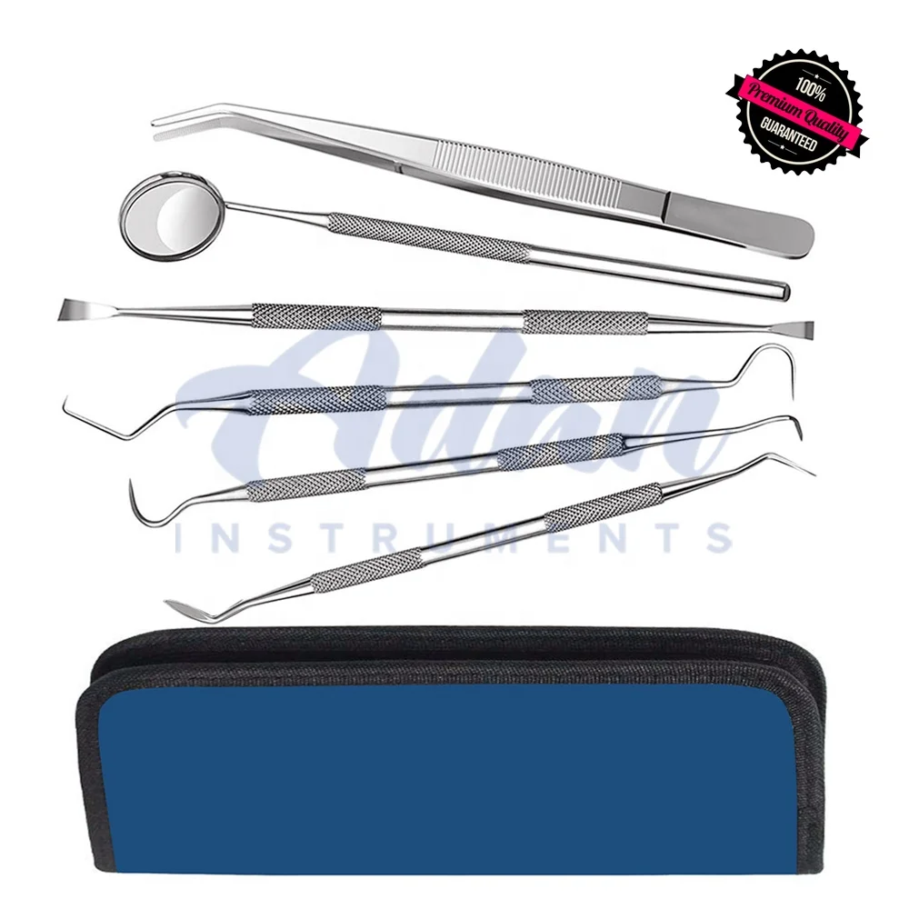 Wholesale Factory Prices 6 Pieces Dental Examination Kit of Dental Mirrors, Scalers, Forceps, scrapers in Carry Case