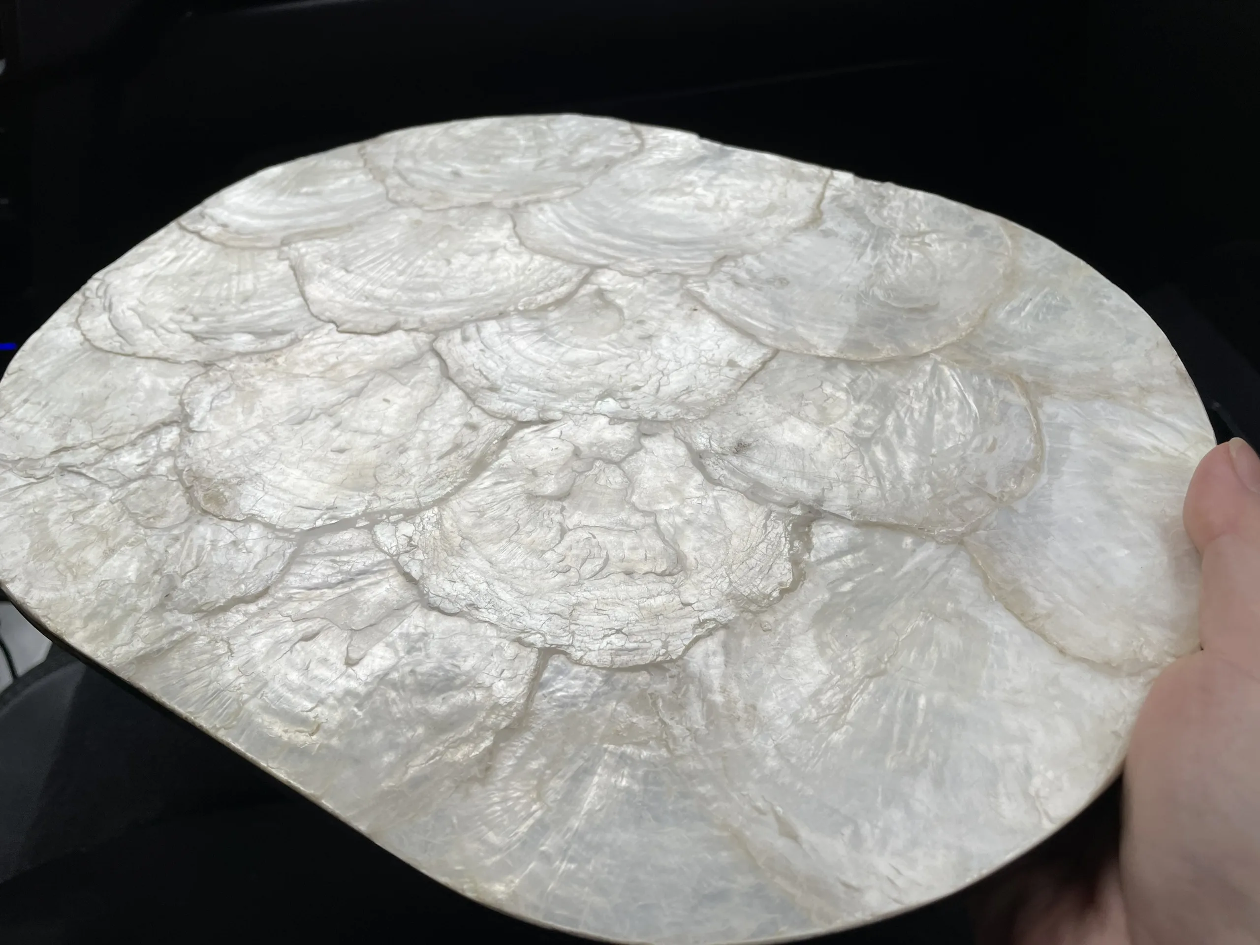 Best Selling Lacquered Tray Placemat For Home Decors Made in Vietnam amazon top seller 2022, plate, dinnerware sets