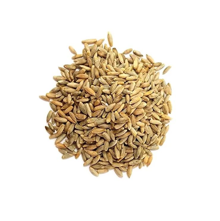 100% Pure Natural Quality Organic Rye Grains At Best Wholesale Pricing