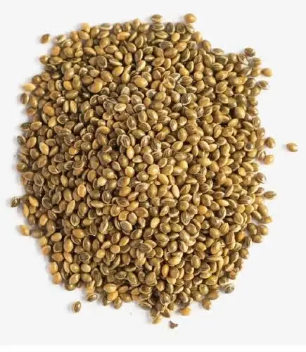 PREMIUM AFRICAN SEED BLEND NUTRIENT RICH BIRD FOOD INFUSED WITH 13 SEEDS FROM INDIAN  MANUFACTURER AND  EXPORTER