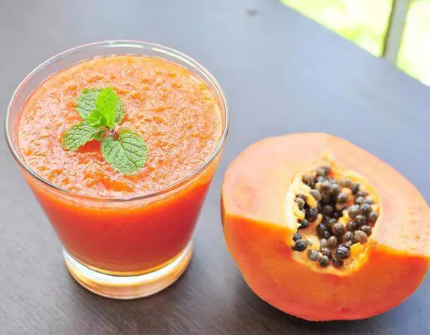 Cooking High Quality Food Also Export Quality Paste Best Quality Food Taste In Seasoning Delicious PAPAYA Paste