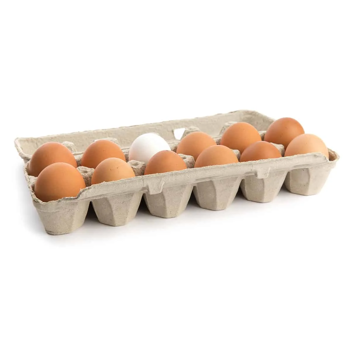 Wholesale Fresh Table Eggs (Chicken eggs) / Fresh table eggs white and brown / Fresh Table Eggs White 40g-50g-60g-65g-70g