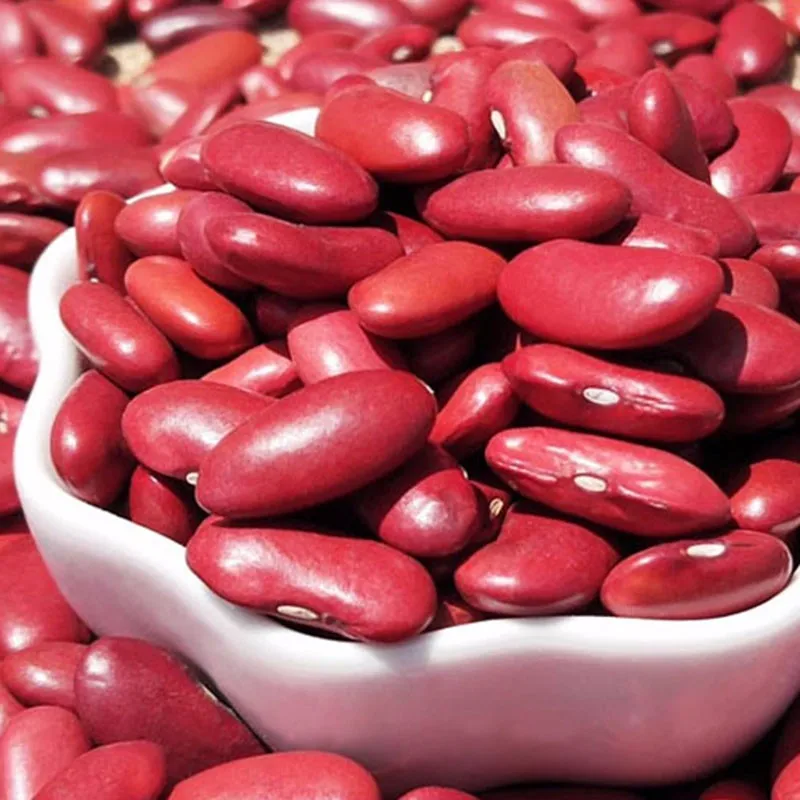 Polished Organic Non-GMO Dark Red Kidney Beans rice and beans red kidney bean