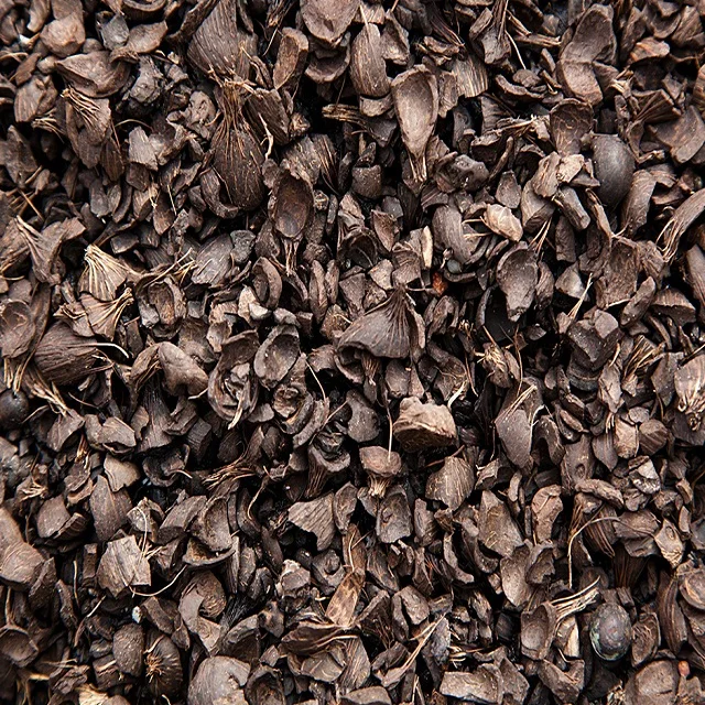 Cheap and Quality Palm Kernel Shell from Agricultural Waste with good price