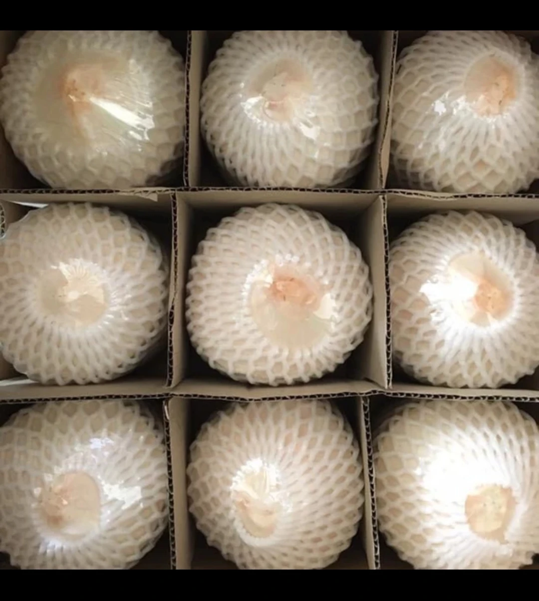 Premium Fresh Young Coconut 9 Pieces per Carton From Thailand Wholesale OEM High Quality Export Grade