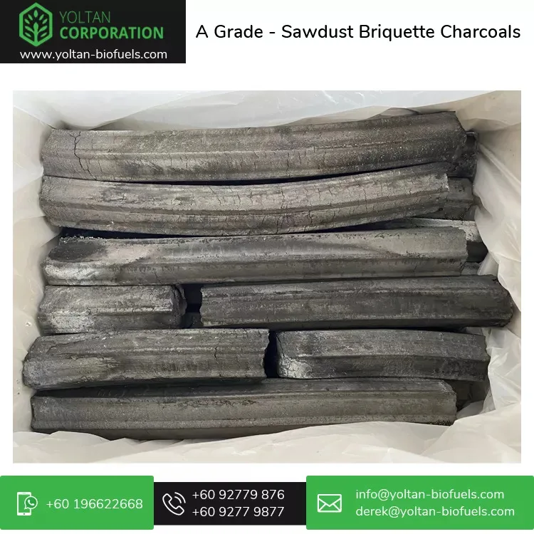 Professional Malaysian Exporter of Sparkless and High Heat 100% Sawdust Briquette Charcoal for Barbecue / BBQ