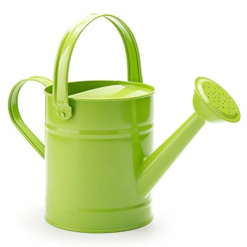 Powder Coated Custom Metal Water Can Tall Size Top Selling Handmade Watering Can Classic Stylish Wholesale Vintage Water Cane