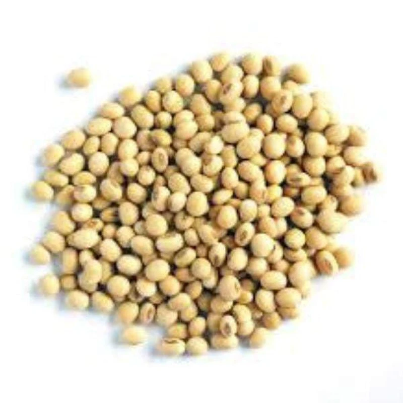 Wholesale Roasted Soya Beans Salted Yellow Beans Soybean Snacks